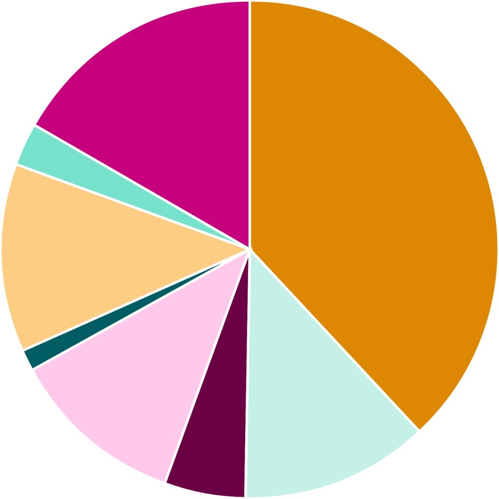 pie chart graphic